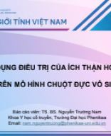 2B.03 - TS.BS. Nguyễn Trường Nam.pdf