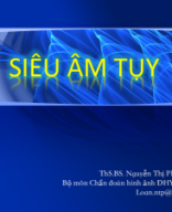 Siêu âm tụy.pdf