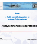 analyse financiere MASTER ACGSI.pdf