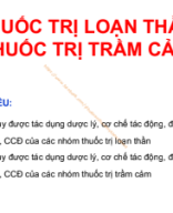 Thuốc trị trầm cảm, loạn thần.pdf