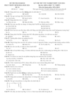 31. Đề thi thử bám sát cấu trúc đề minh họa TN THPT 2024 - Môn Hóa Học - Đề 31 - File word có lời giải.docx