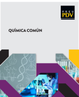 QUIMICA COMUN 2024 WEB.pdf