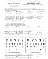 47 . Đề thi thử TN THPT Sinh Học 2024 - CHUYÊN SƠN LA.docx