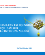 03_PQPOC-20240612 BC tham luan Hoi nghi Dau tu Tai chinh nam 2024 _Ngay 13 06 (002).pdf