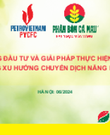 06_PVCFC_Hoi nghi dau tu PVN 2024_P.TGD_20240613.pptx