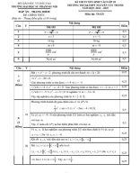 1b-DAP-AN-DE-TOAN-VAO-10-NTT-2024.pdf