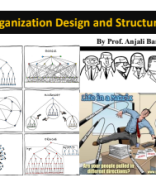 session 1- Organization Design_Prof. Anjali Bansal.pdf