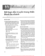 11. RỐI LOẠN DẪN TRUYỀN TRONG THẤT - BLOCK 3 NHÁNH.pdf