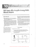 10. RỐI LOẠN DẪN TRUYỀN TRONG THẤT - BLOCK NHÁNH.pdf