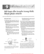 9. RỐI LOẠN DẪN TRUYỀN TRONG THẤT - BLOCK PHÂN NHÁNH.pdf