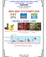 2. HOA HOC 12 MOI- CHUONG 1 ESTER - LIPID 2024-2025.GV.pdf