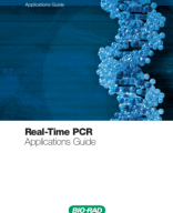 RT-PCR Guide.pdf