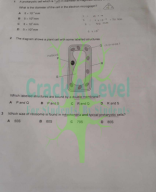 Biology P12 M/J 2024 - Crack A Level