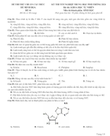 43. Đề thi thử bám sát cấu trúc đề minh họa TN THPT 2024 - Môn Sinh Học - Đề 44 - File word có lời giải.docx
