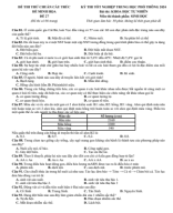 27. Đề thi thử bám sát cấu trúc đề minh họa TN THPT 2024 - Môn Sinh Học - Đề 27 - File word có lời giải.pdf