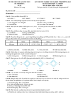 15. Đề thi thử bám sát cấu trúc đề minh họa TN THPT 2024 - Môn Sinh Học - Đề 15 - File word có lời giải.pdf