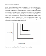 Linear expenditure system (1).docx