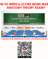 How to Write & Score in Anatomy Theory Exam (@anatomydecoded).pdf