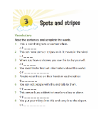 Unit 3 - Spots and stripes.docx