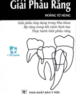 GIẢI PHẪU RĂNG-Y thư quán.pdf