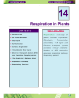 RESPIRATION IN PLANTS(165-210)_08.02.2020.pdf