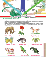 REPRODUCTION IN ORGANISMS.pdf