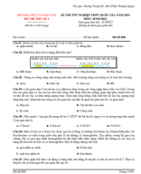 BỘ 10 ĐỀ THI THỬ MÔN SINH 2024.pdf