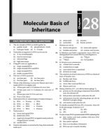 28. Molecular Basis of Inheritance .pdf