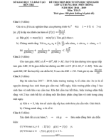 Đề Thi Chọn Đội Tuyển Tỉnh Bến Tre Dự Thi Học Sinh Giỏi Quốc Gia THPT 2018-2019 [Đáp Án].pdf