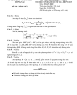 Đề Thi Chọn Đội Tuyển Tỉnh Đồng Nai Dự Thi Học Sinh Giỏi Quốc Gia THPT 2018-2019 [Đáp Án].pdf