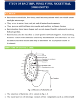 3. STUDY OF BACTERIA, FUNGI, VIRUS, RICKETTSIAE, SPIROCHETES.pdf