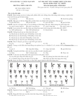 47 . Đề thi thử TN THPT Sinh Học 2024 - CHUYÊN SƠN LA.docx