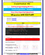 4 घंटे मैराथन Class Python .pdf