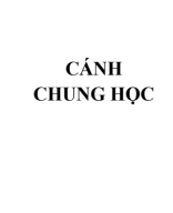 236.9 - TVTT0000673 - Cánh Chung Học - Đạo Lí Về Niềm Hi Vọng Kitô Giáo - Vũ Chí Hỉ.pdf