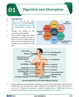 DIGESTION & ABSORPTION.pdf