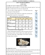 CHƯƠNG 7. NHÓM IA VÀ IIA (ĐÁP ÁN) - Copy.pdf