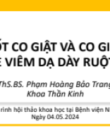 1. Phạm Hoàng Bảo Trang.pdf