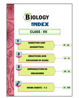 7- CLASS - COLOUR PRINT.pdf