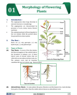 MORPHOLOGY OF FLOWERING PLANTS.pdf