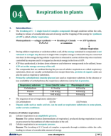 RESPIRATION IN PLANTS.pdf