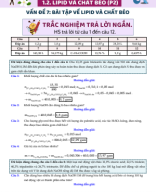 1.2. LIPID - CHẤT BÉO - phần 9 - giải.pdf