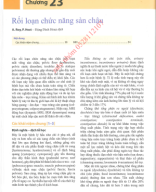 chương 23 rối loạn chưc năng sàn  chậu.pdf