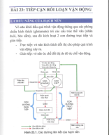 bài 23 tiếp cận rối loạn vận động.pdf