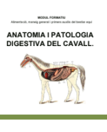 Anatomia i Patologia Digestiva ok.pdf