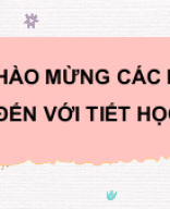 Biểu đồ hình quạt tròn.pptx