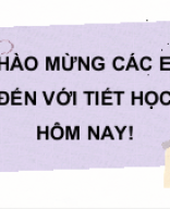 Bài tập cuối chương VI.pptx