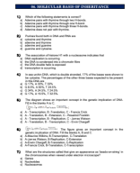 06. MOLECULAR BASIS OF INHERITANCE.pdf