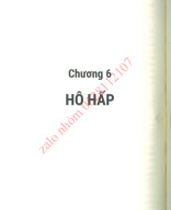 chương 6 hô hấp.pdf