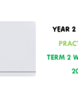 Y2 English 2014b - 2024 Week 16 PPT.pdf