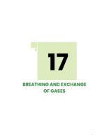 BREATHING AND EXCHANGE OF GASES.pdf